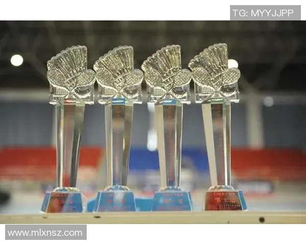 成都羽毛球队在锦标赛中的速度优势分析与表现点评